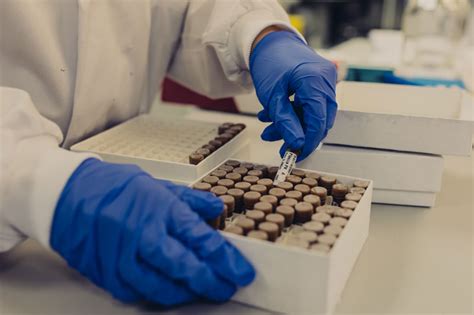 Sample Storage に対する画像結果