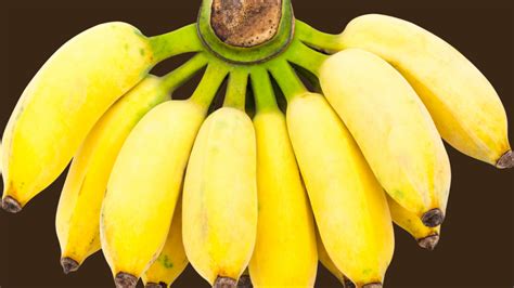 Blue Java Banana Fruit Color Chart に対する画像結果