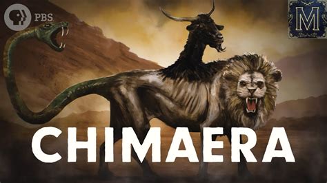 Image result for Natural Human Chimeras