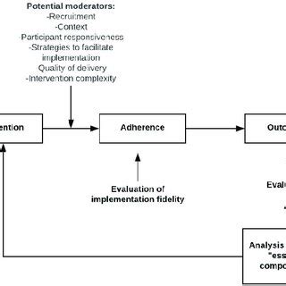Image result for Implementation Science Fidelity