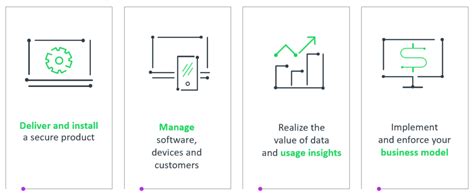 Image result for Software Monetization