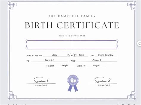Image result for Birth Certificate Example