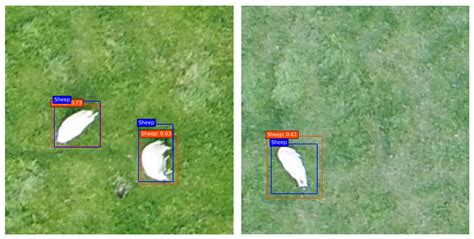 Image result for Sensor Detector Small Object