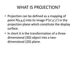 Image result for Report Projection From a Computer Image