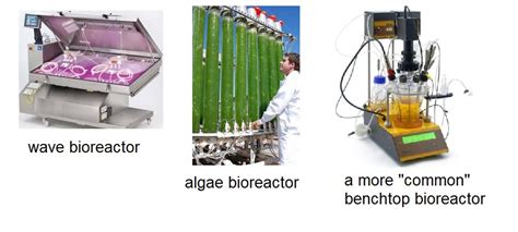 Image result for E. Coli Fermentor