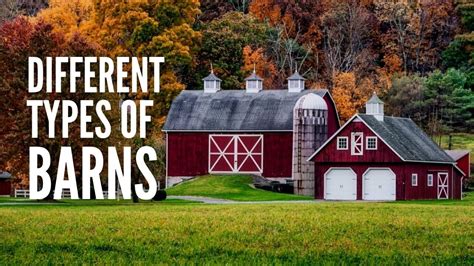 Image result for Barn Doors with Windows