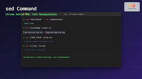 Afbeeldingsresultaten voor Text Editor Command Line