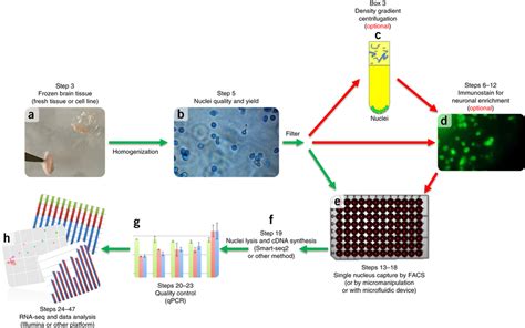 Transcriptome RNA-Seq-साठीचा प्रतिमा निकाल