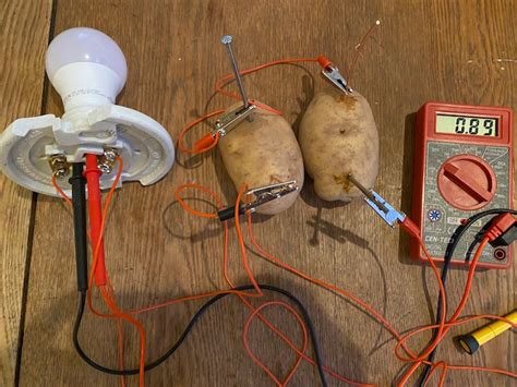 Image result for Potato Light Bulb Science Fair Project
