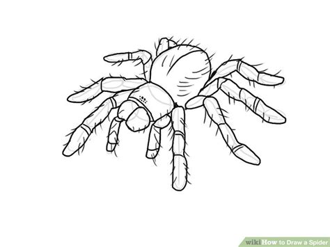 Image result for How to Draw a Alt Spider