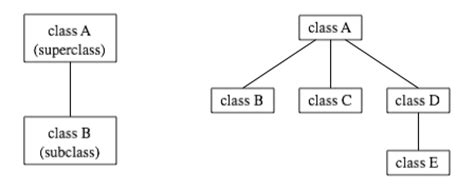 Subclass Function Java に対する画像結果