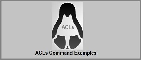 Image result for ACL Commands in Linux