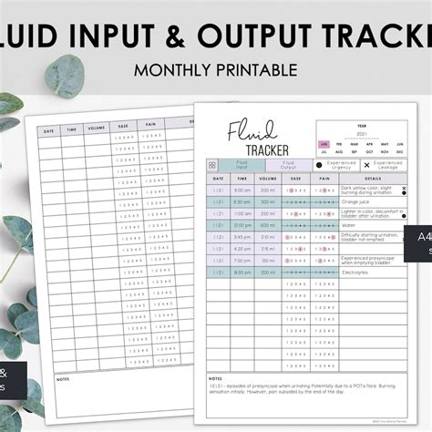 Image result for Input and Output Chart