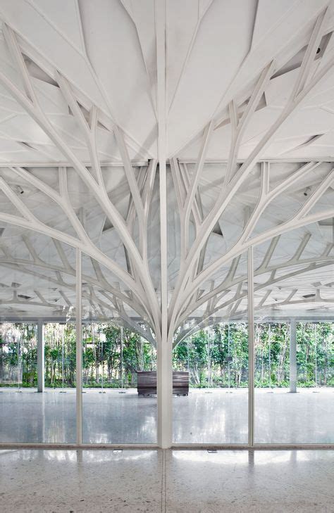 Image result for Tree-Like Structure