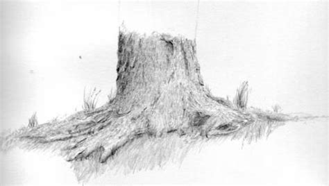 Realistic Tree Trunk Drawing に対する画像結果