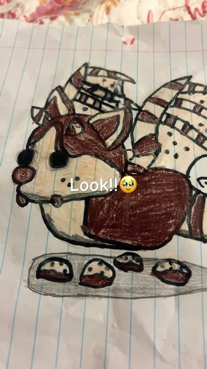 Toradh íomhá ar Ccbd Build AdoptMe