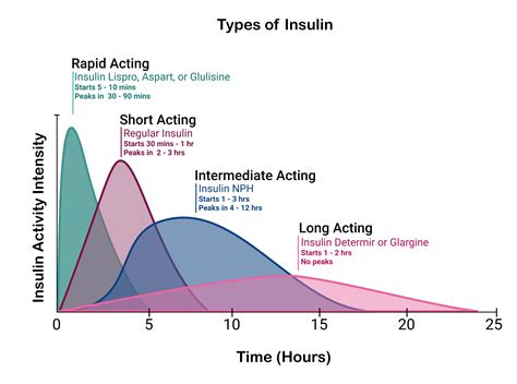 Image result for Insulin Algorithm Chart for Type 2
