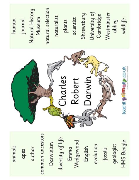 Image result for Charles Darwin KS2