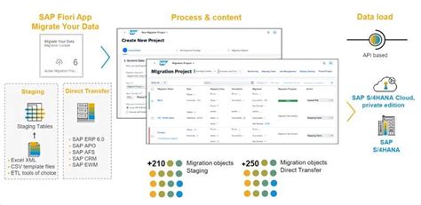 SAP Data Migration Process に対する画像結果