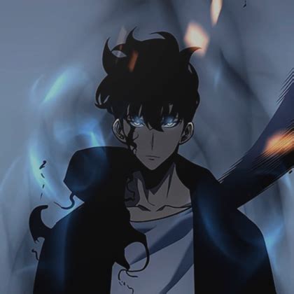 Afbeeldingsresultaten voor Solo Leveling Profile Pic