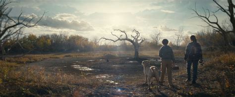 Image result for Blood On Screen of Movie