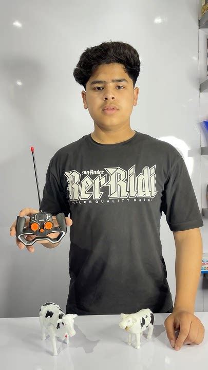 Image result for Wireless Remote Control Cow Sound