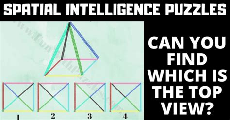 Image result for Spatial Reasoning Puzzles