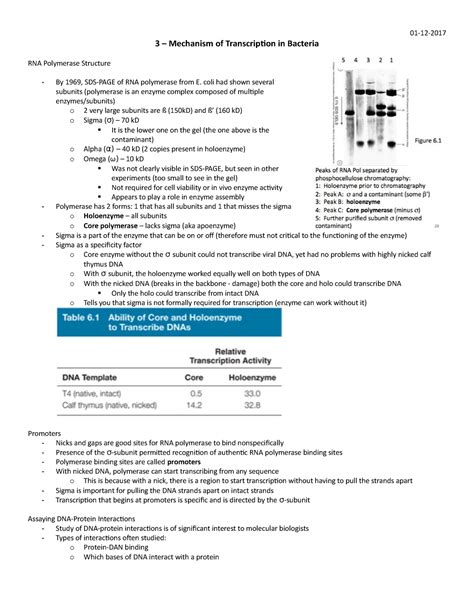 Image result for Transcriptomics Bacteria