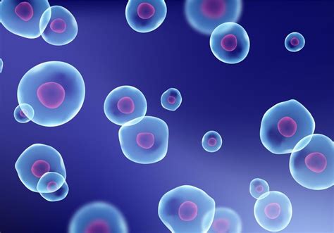 Toradh íomhá ar Advanced Flow Cytometry