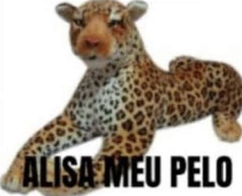 Random Meme Do Me-साठीचा प्रतिमा निकाल