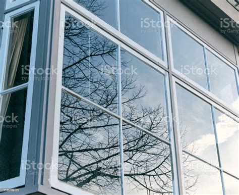Image result for Window Trees Reflection Texture