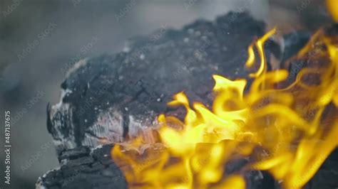 Image result for Fire Log Cooking