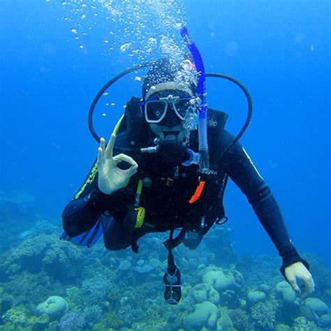 Image result for deep ocean divers