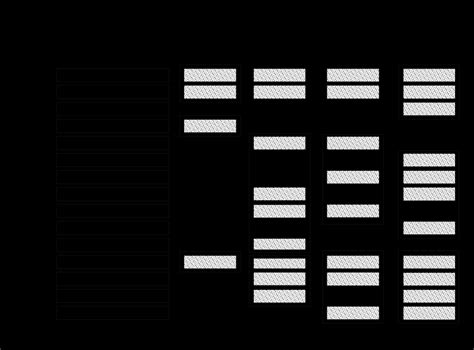 Image result for Coding Frame Printable