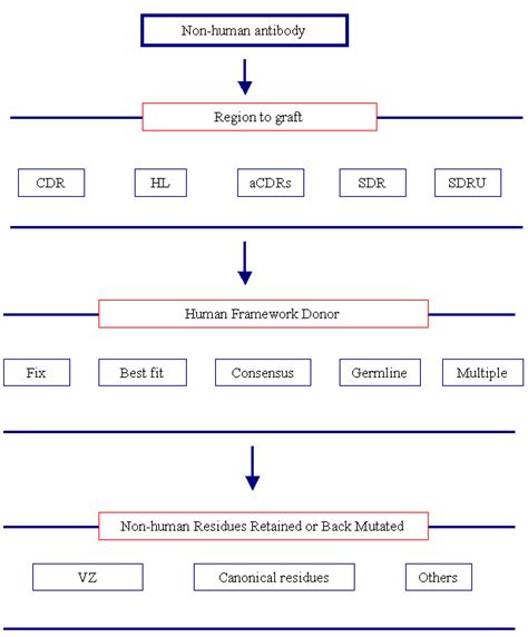 Image result for CD-R Grafting
