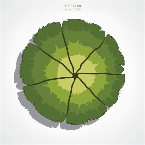 Image result for TreePlan Abstract