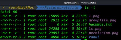 Image result for The LS Command