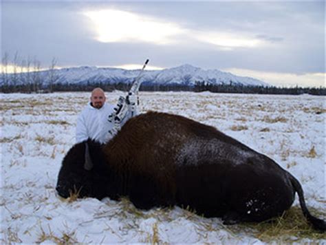 Image result for Archery Bison Hunting
