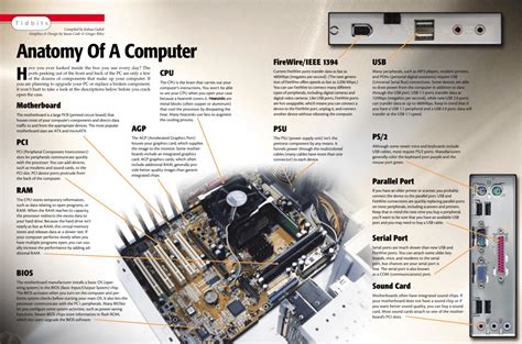 Image result for Computer Interface Anatomy