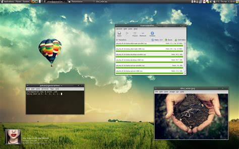 Image result for Top Screen Shot Linux