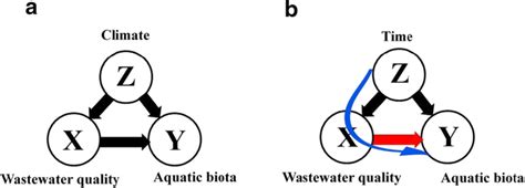 Image result for Confounding Variable Graph