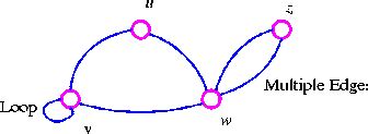 Image result for Graph G ABC D E Loops Parallel Edges