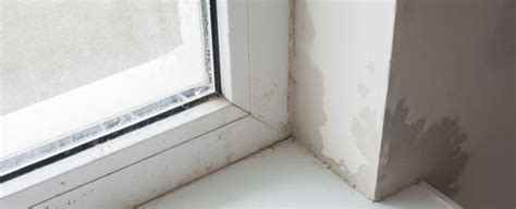Image result for Damp Over Window