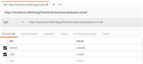 Afbeeldingsresultaten voor Difference Between Pathparam and Query Param