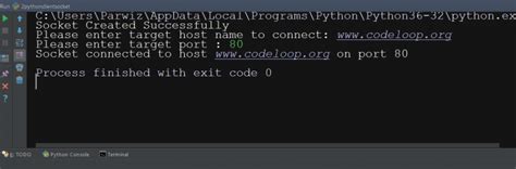 Host a Socket Python Server に対する画像結果