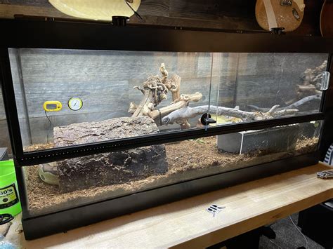Image result for Bad Ball Python Enclosure