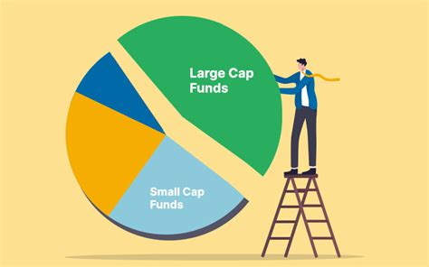 Image result for Large Cap Stock Index Fund