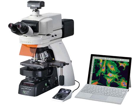Image result for Nikon Light Microscope