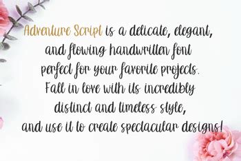 Image result for Adventure Script