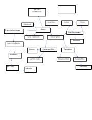 Image result for Module 5 Concept Map Gene Expression